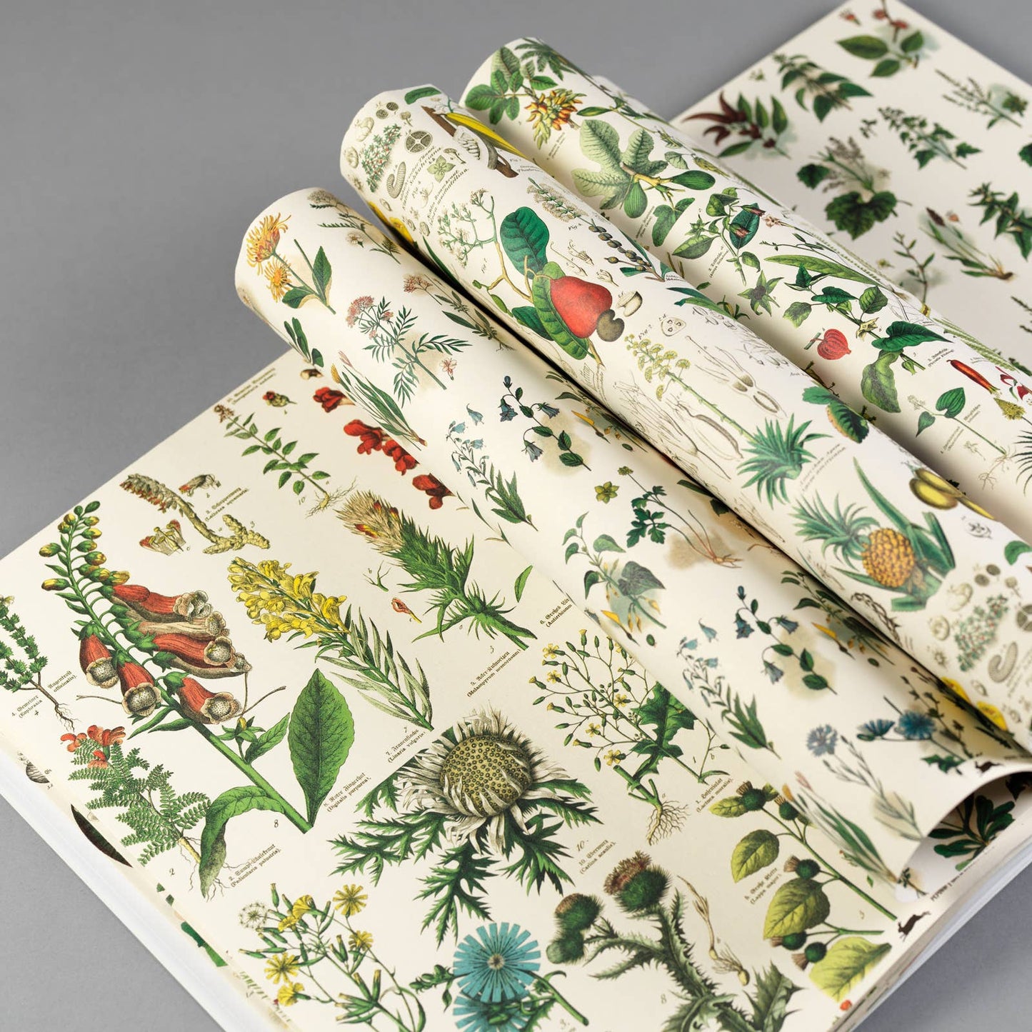 Flora Gift & Creative Paper Book Vol. 85