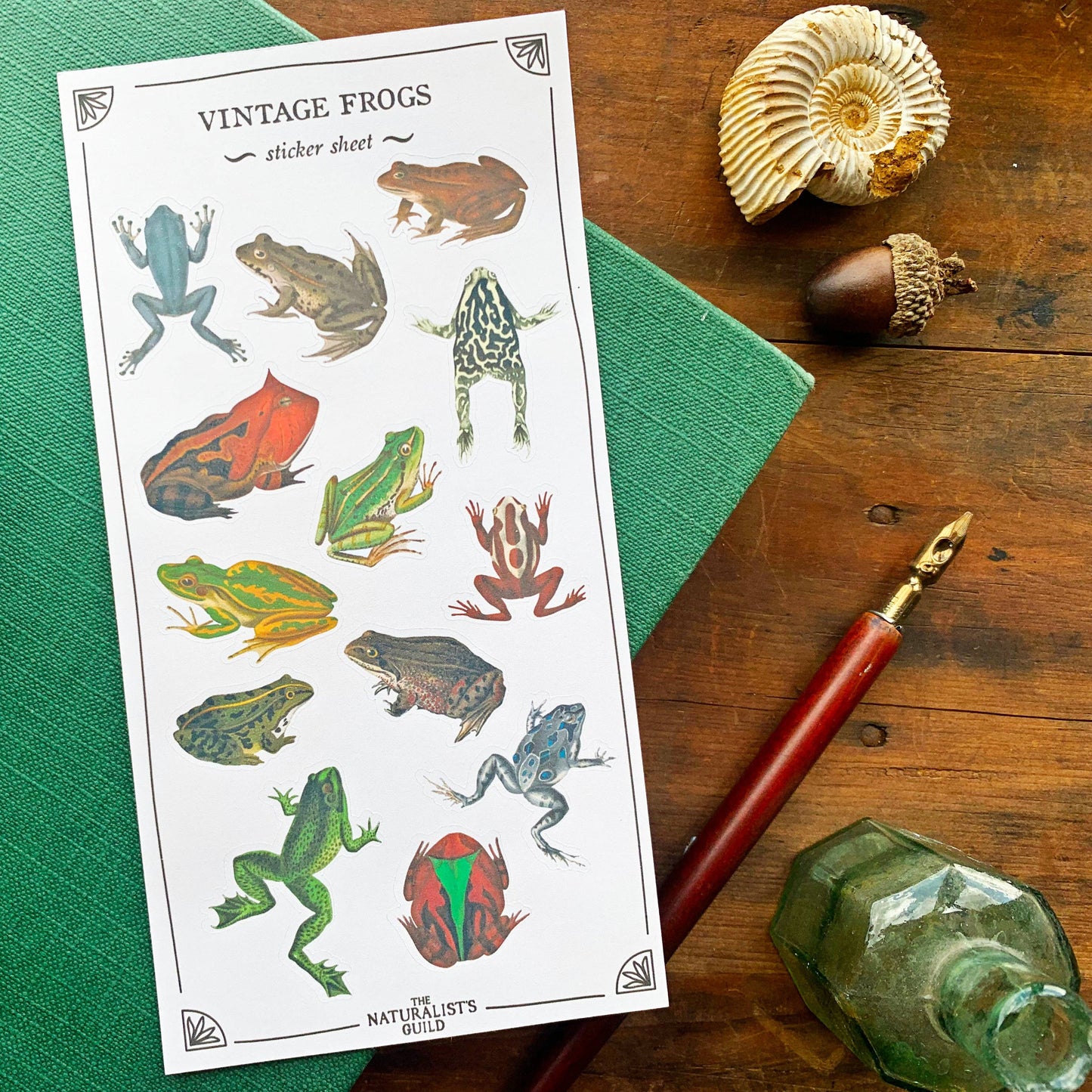 Vintage Frogs Sticker Sheet