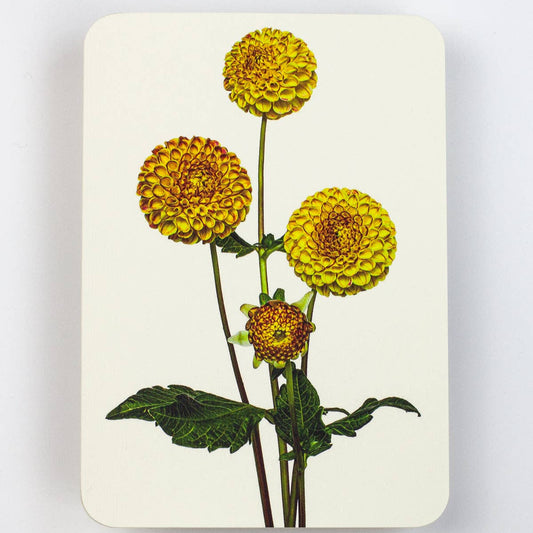 Dahlia Greeting Card