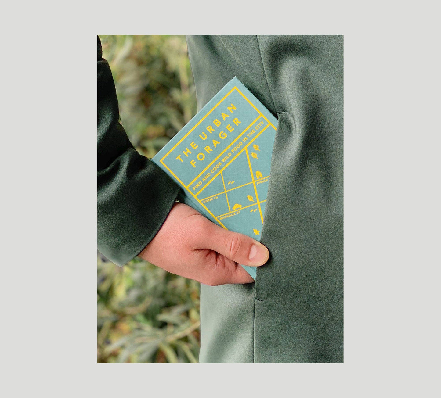 The Urban Forager: Find and Cook Wild Food in the City