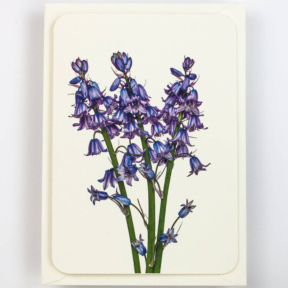 Bluebells Greeting Card