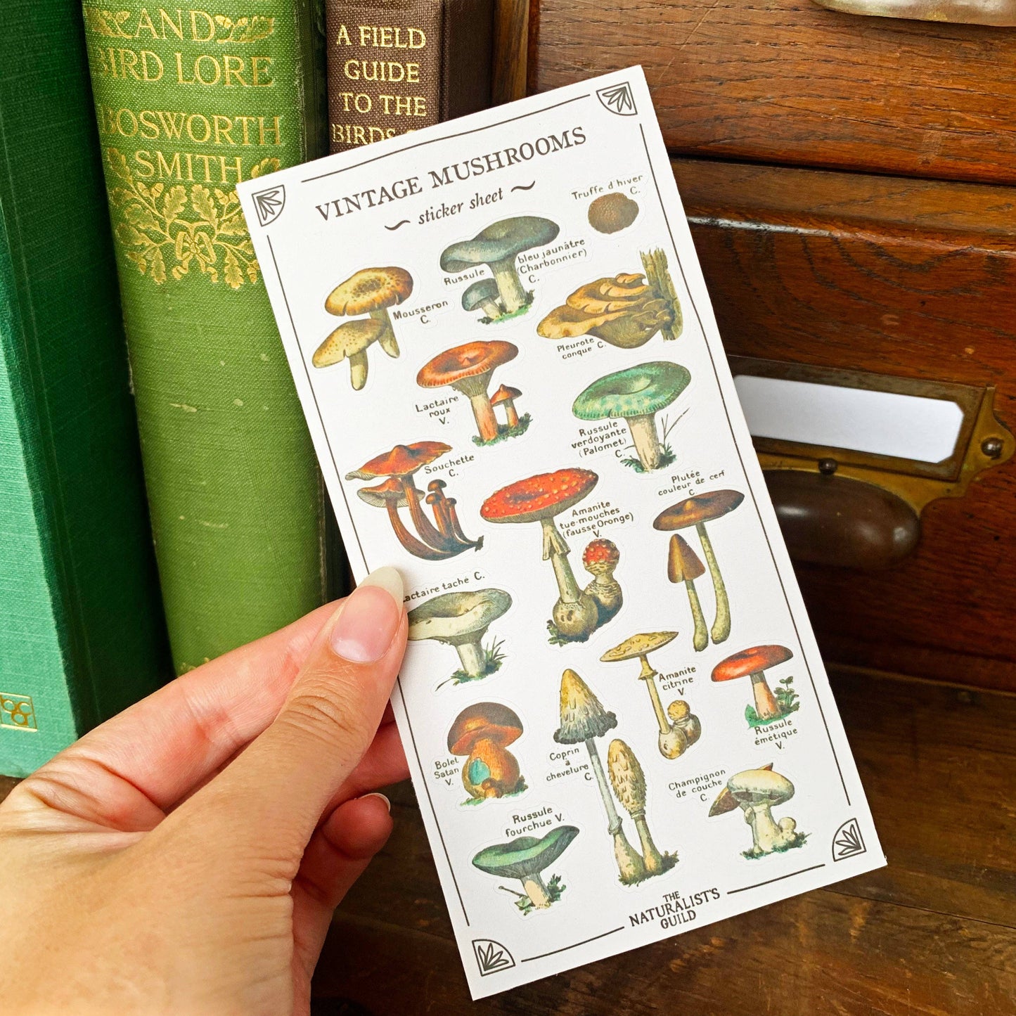 Vintage Mushroom Sticker Sheet