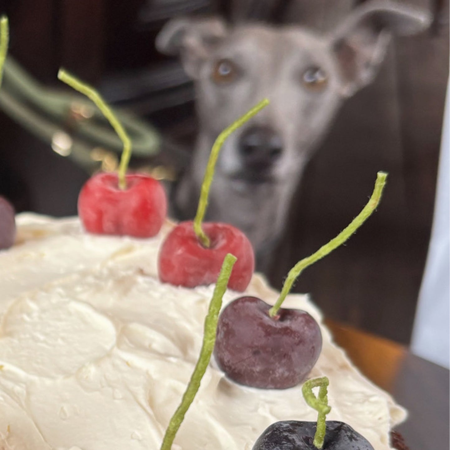 Dark Cherry Beeswax Birthday Candles - 10