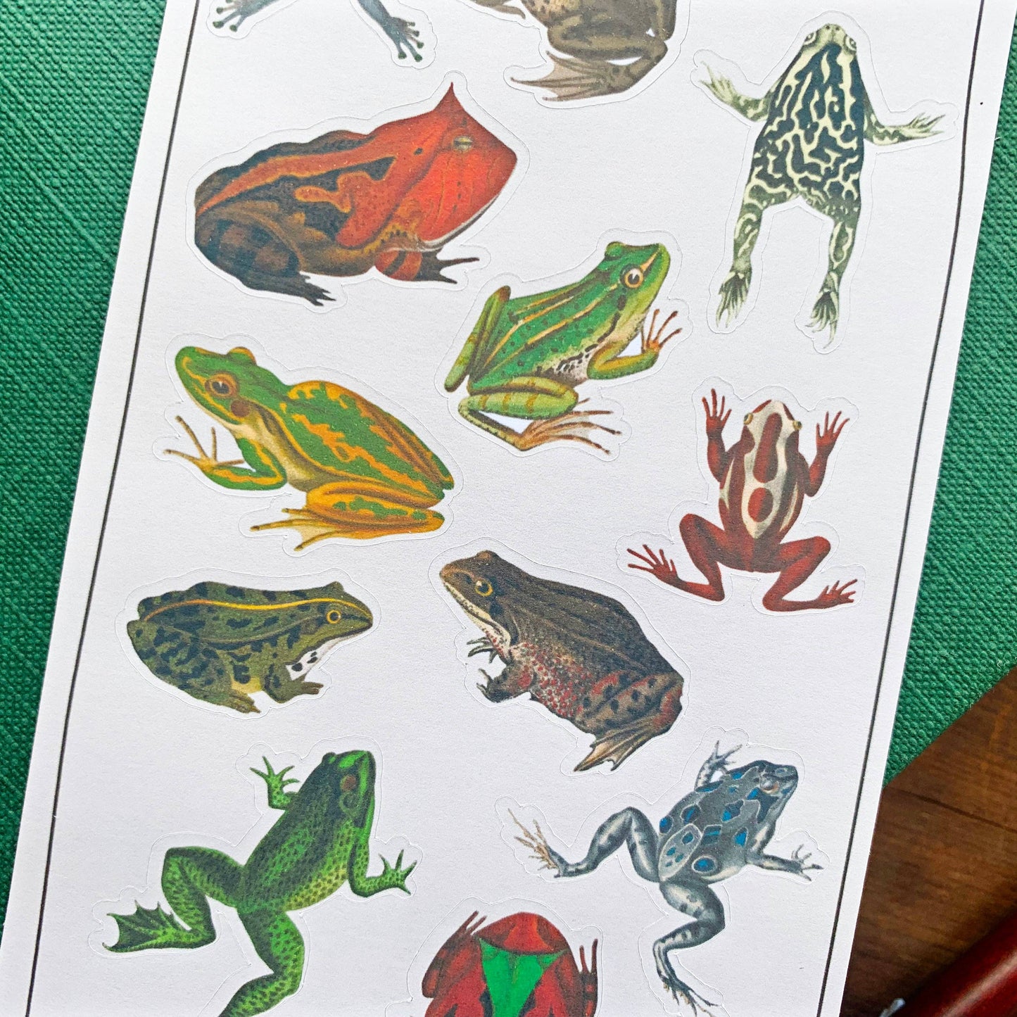 Vintage Frogs Sticker Sheet