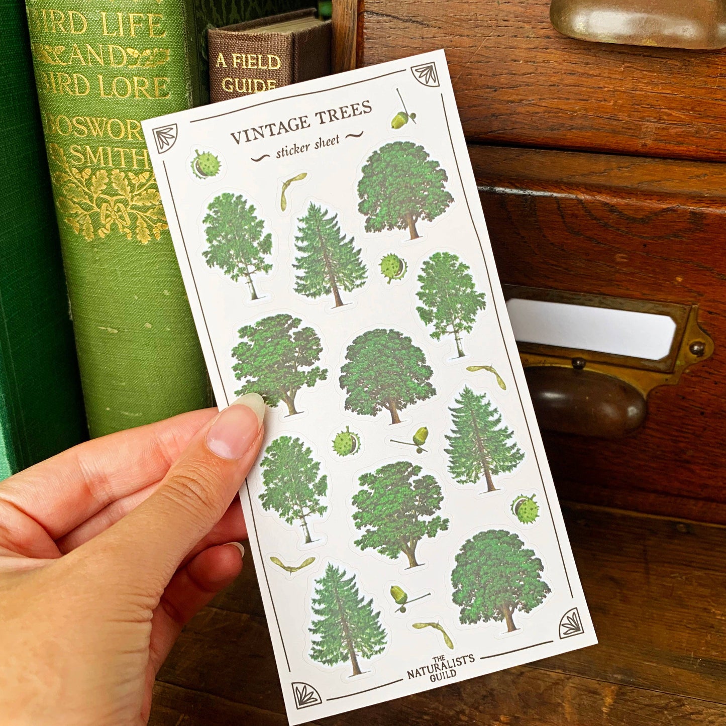 Vintage Trees Sticker Sheet