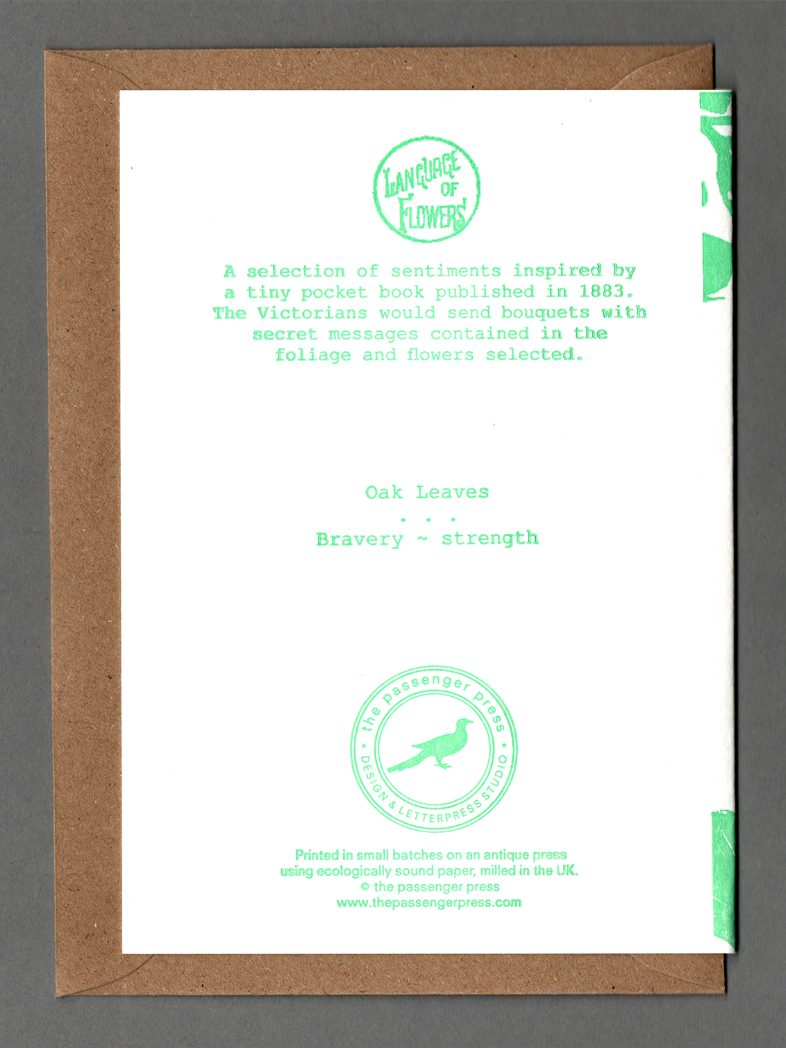 Oak Leaves - Greeting Card