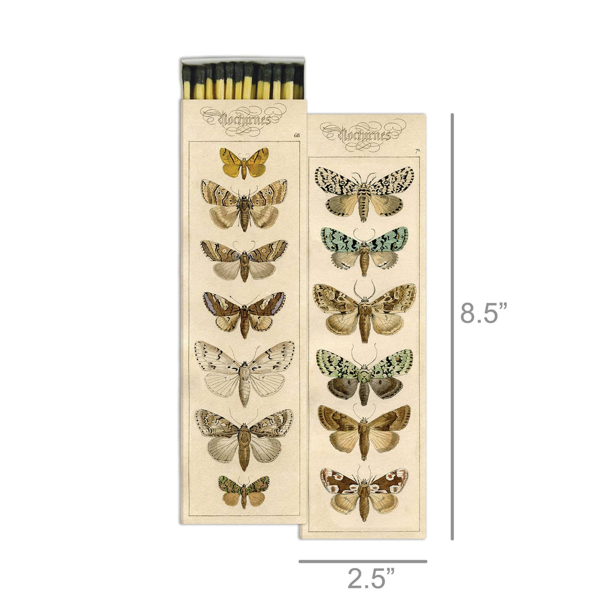 Match Box - Moths