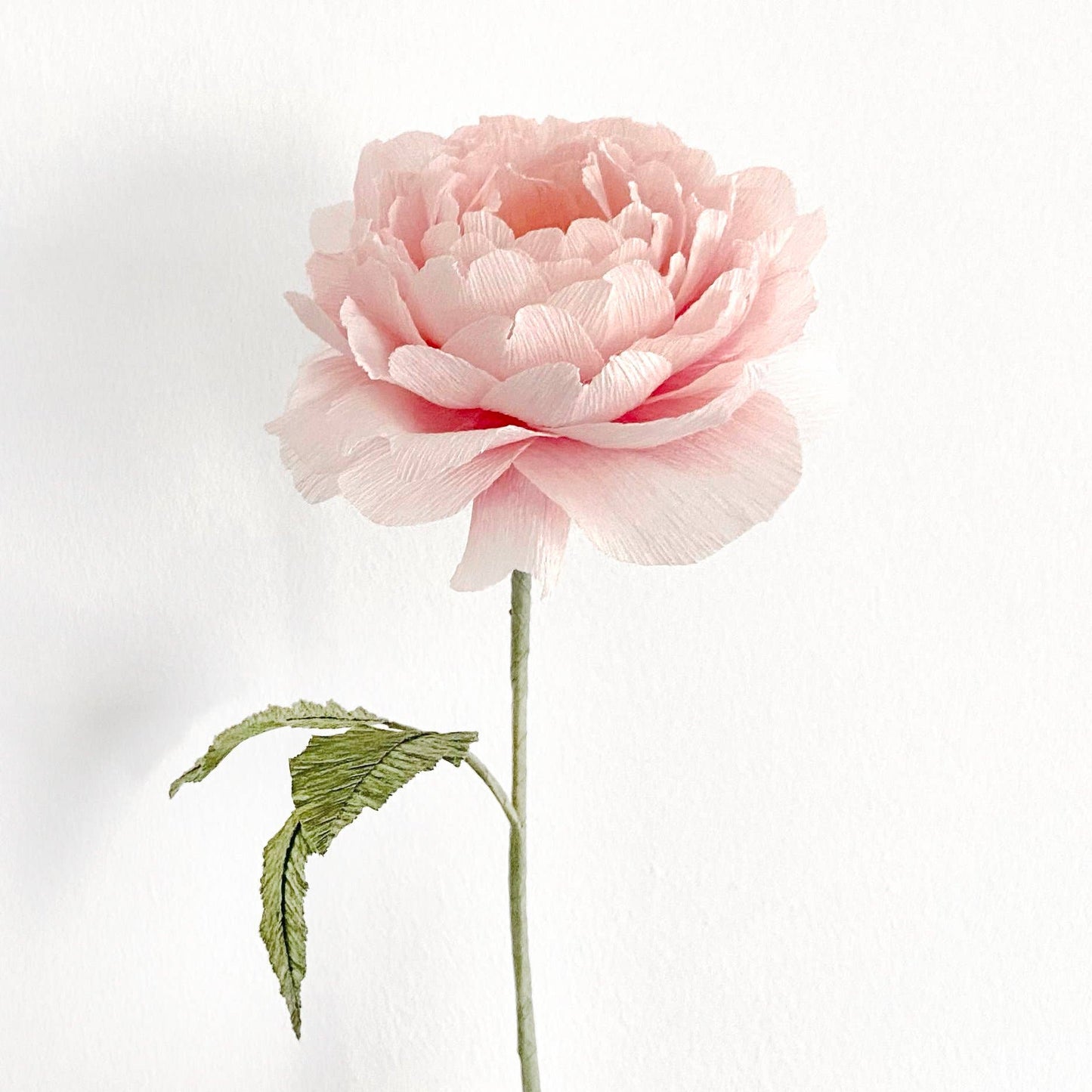 Make Your Own Crepe Paper English Rose - Scepter'd