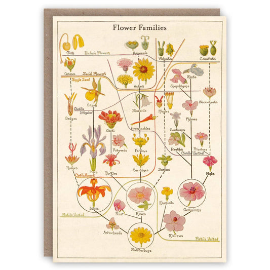 Flower Families Greeting Card