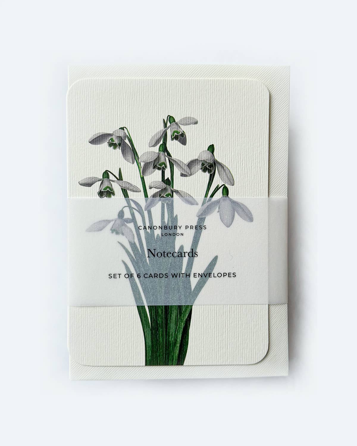 Snowdrops Greeting Card