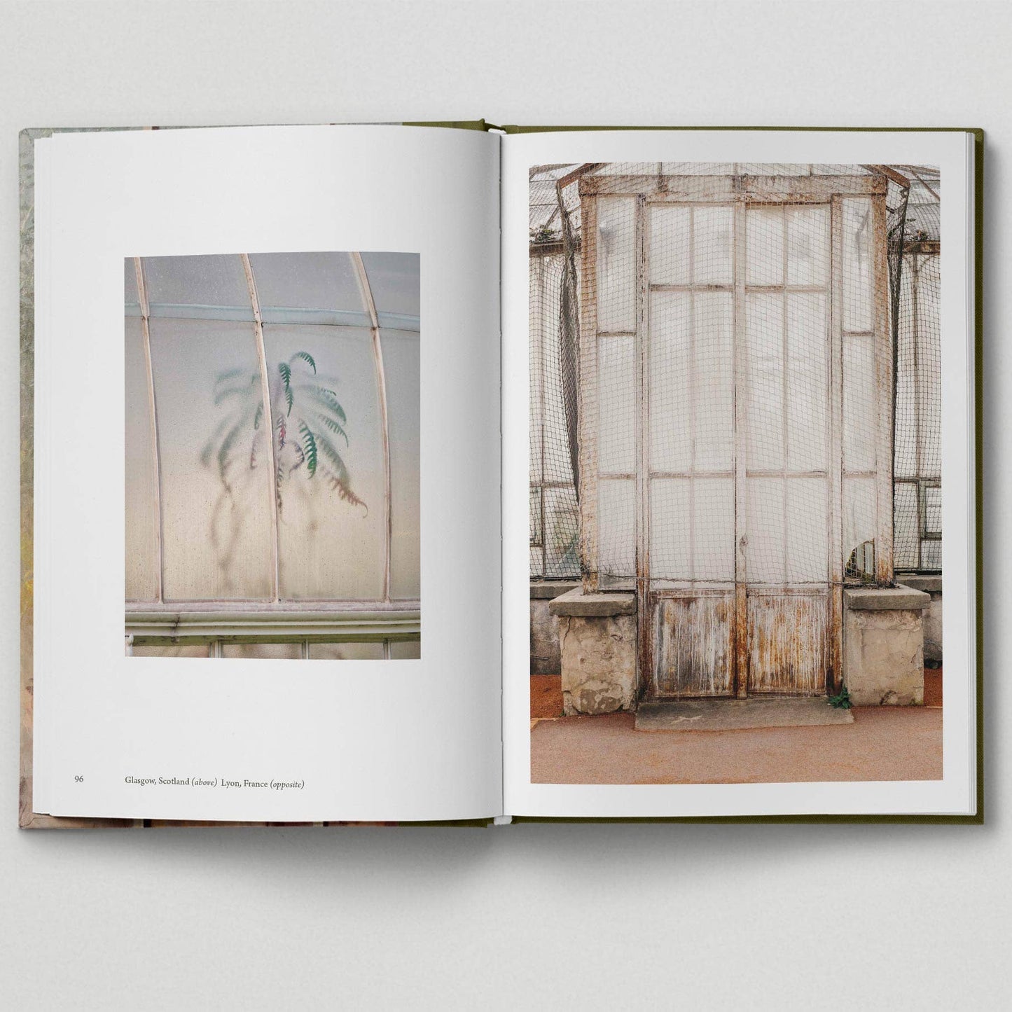 Botanical - Tales from the City