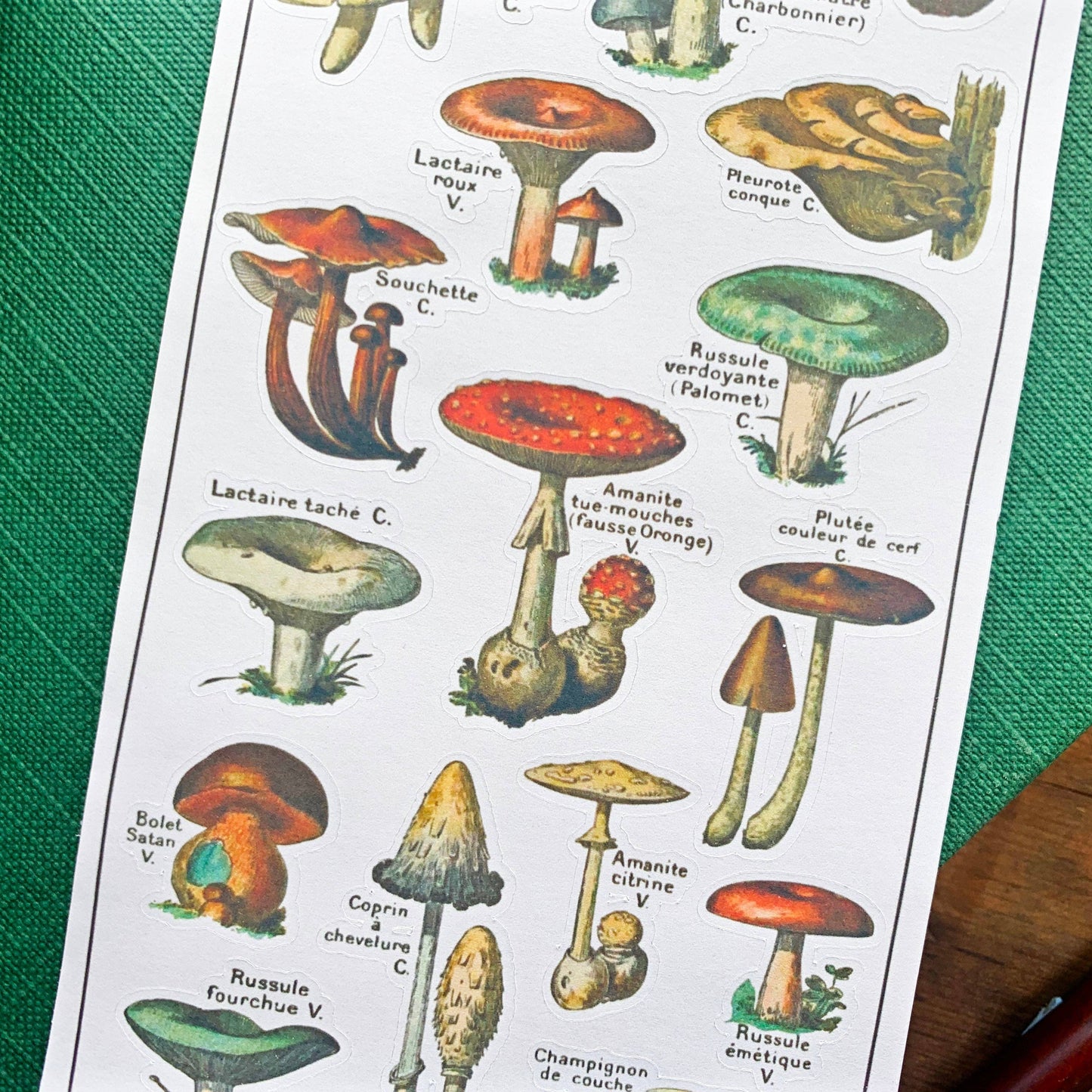 Vintage Mushroom Sticker Sheet