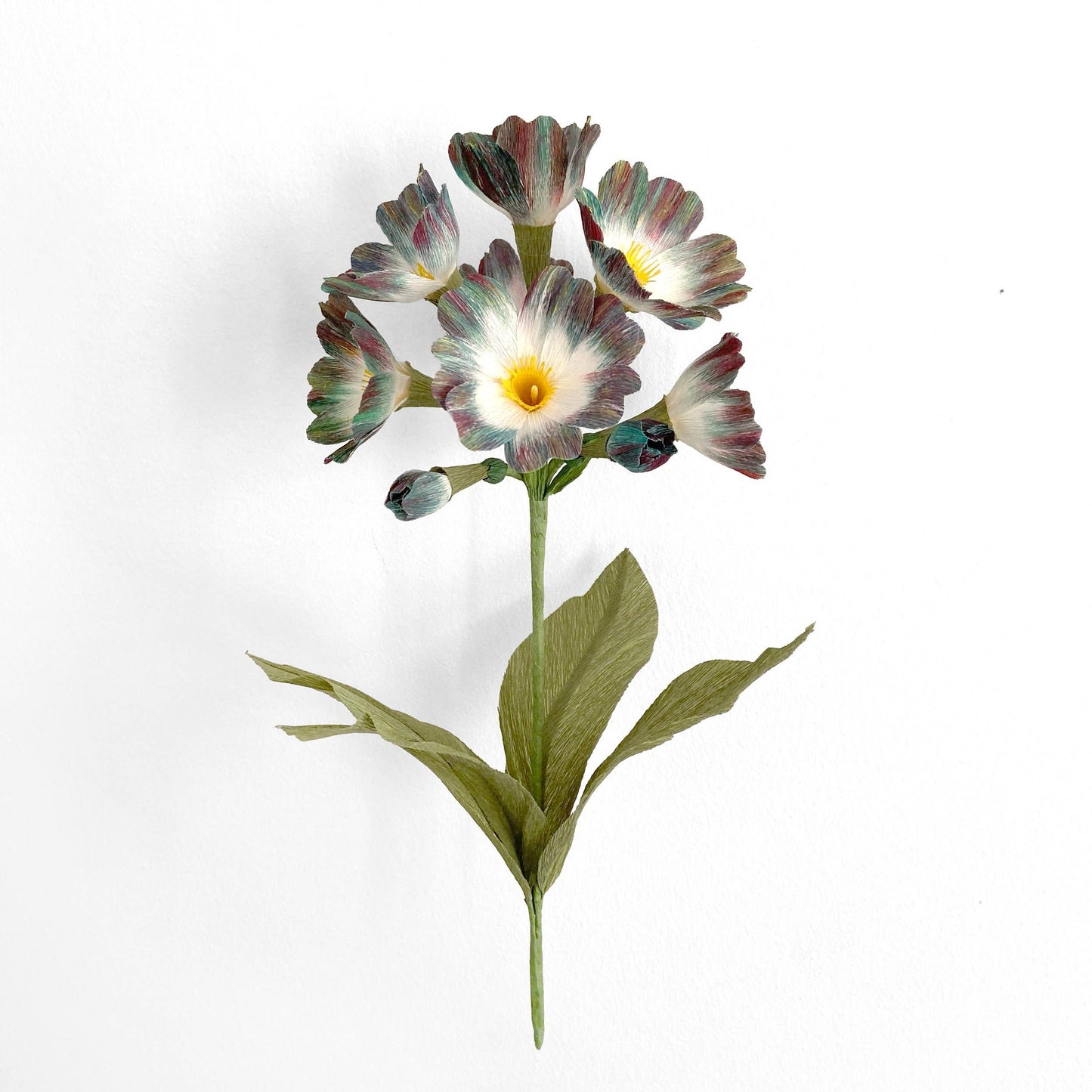 Make Your Own Crepe Paper Primula Flower