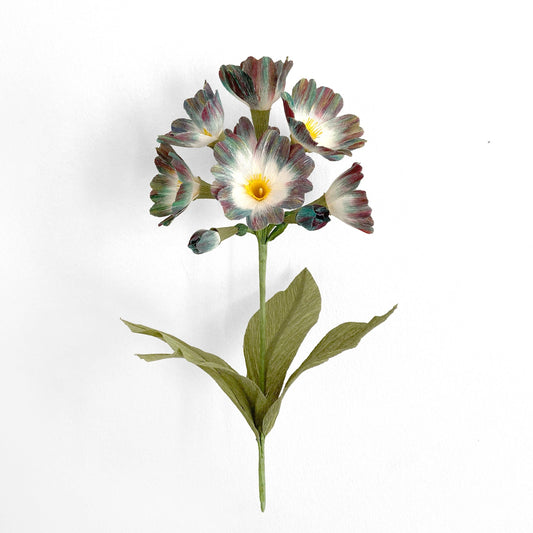 Make Your Own Crepe Paper Primula Flower