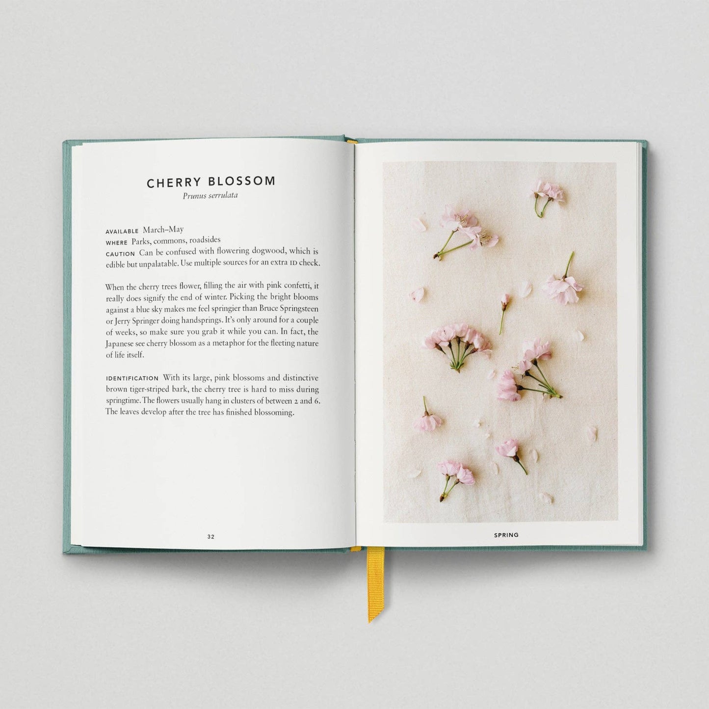 The Urban Forager: Find and Cook Wild Food in the City