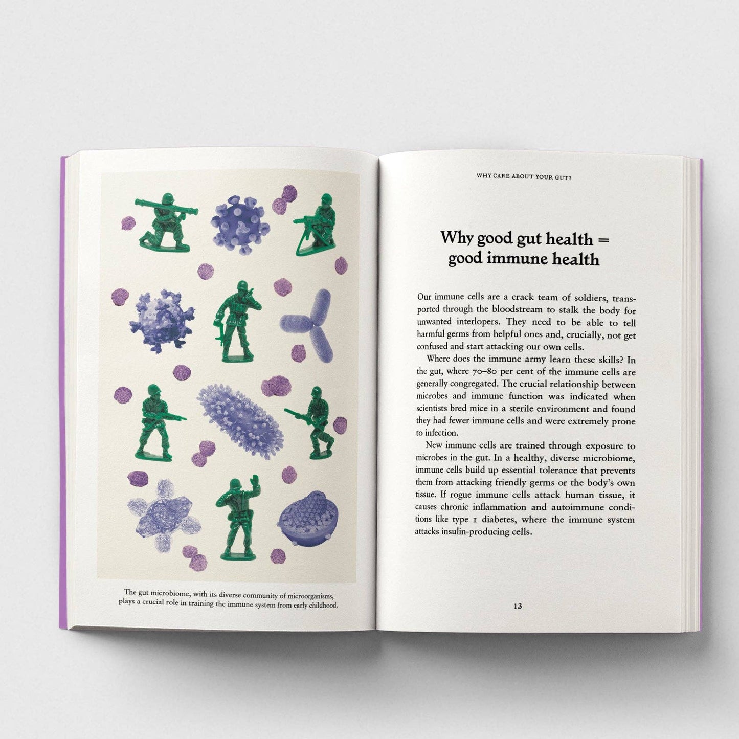 The Gut, A Pocket Primer