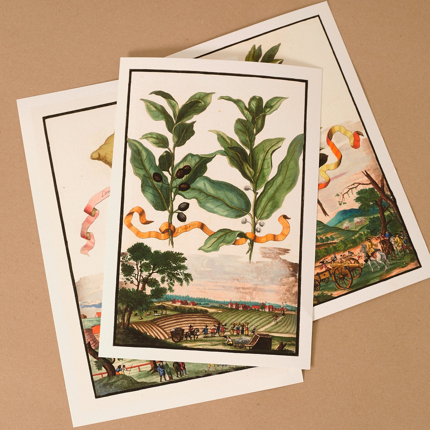 Pistaccia - Pistaccio Tree Giclée Print