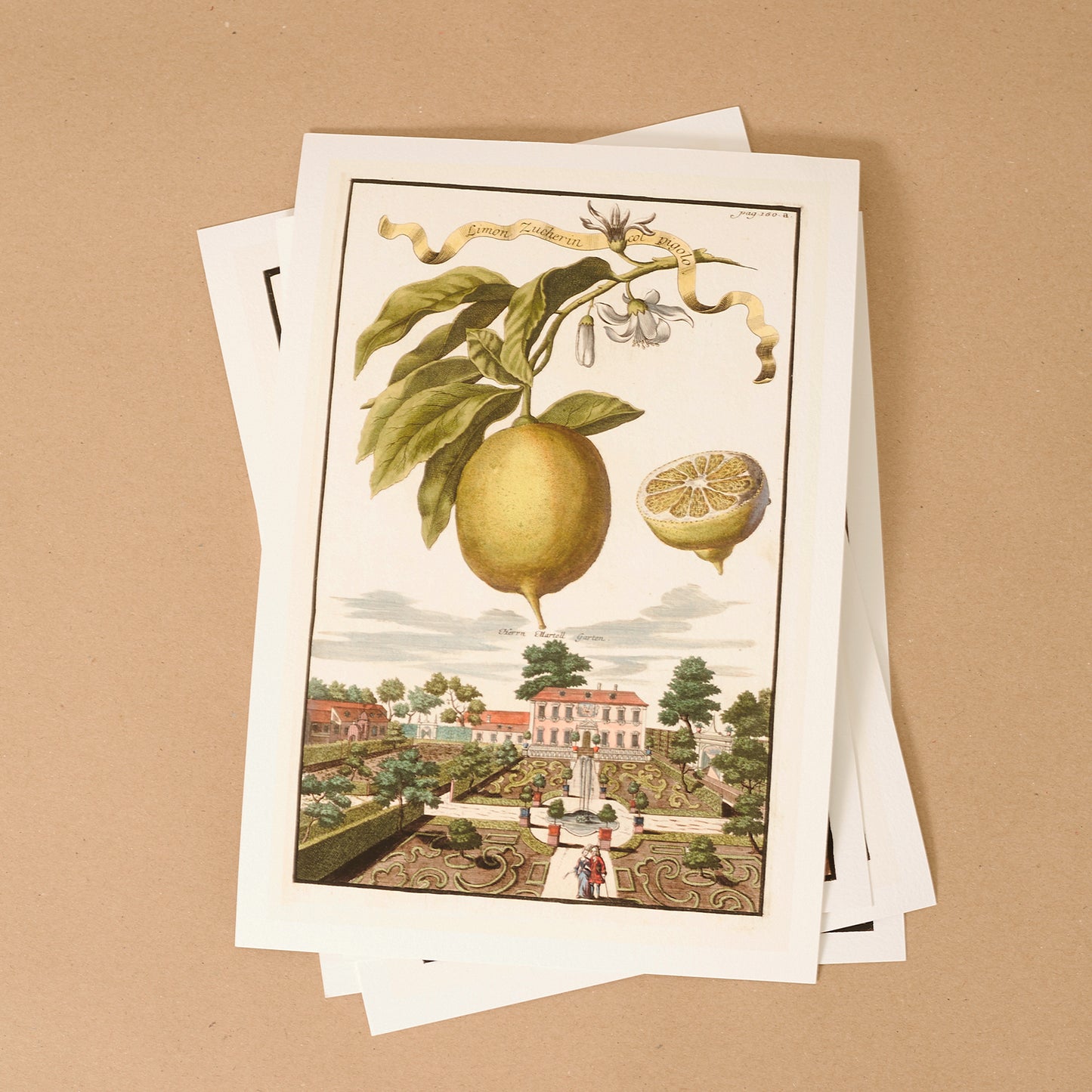 Aranzo Agostarolo 1696 Giclée Print