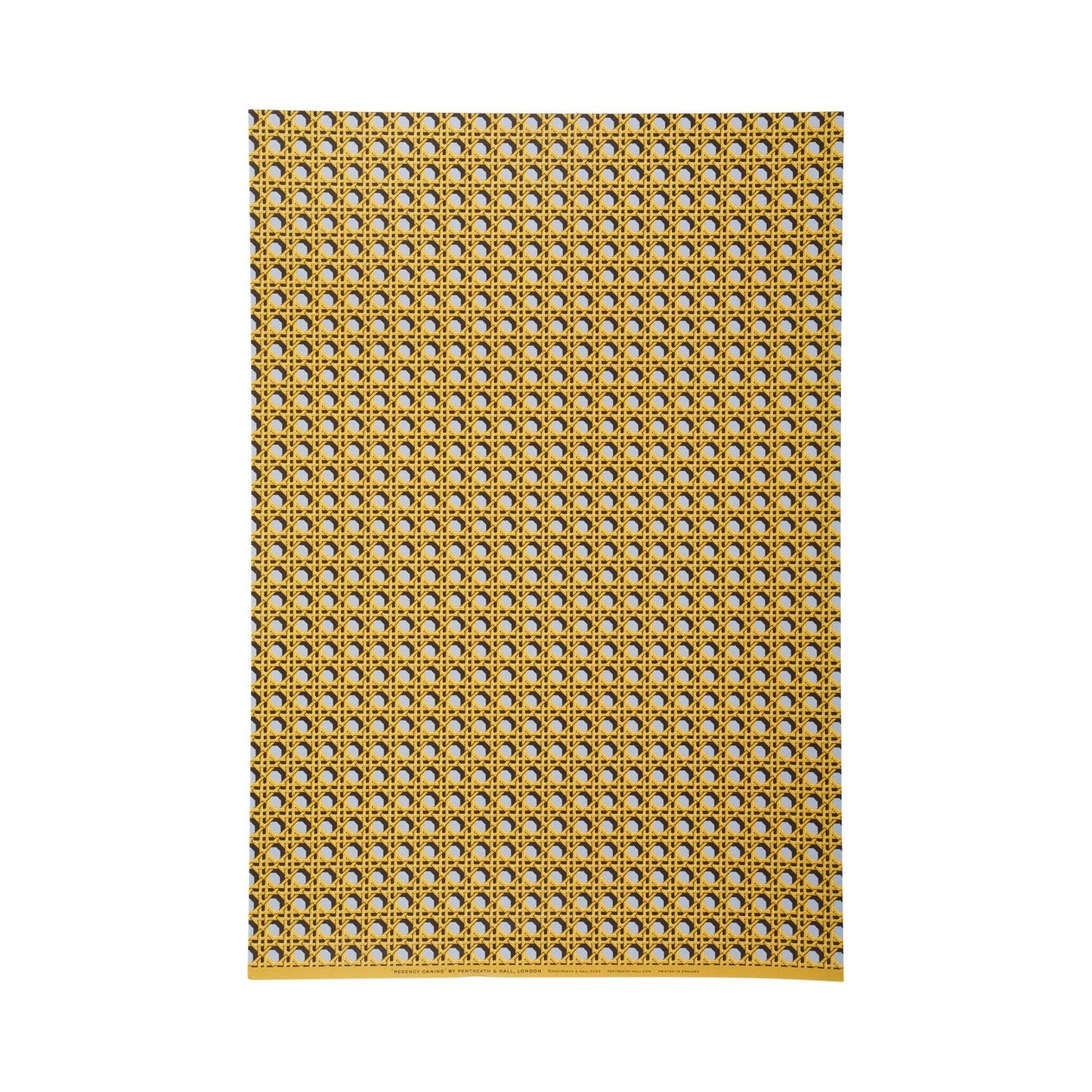 Regency Caning - 5 Sheets Of Wedgwood Blue Paper