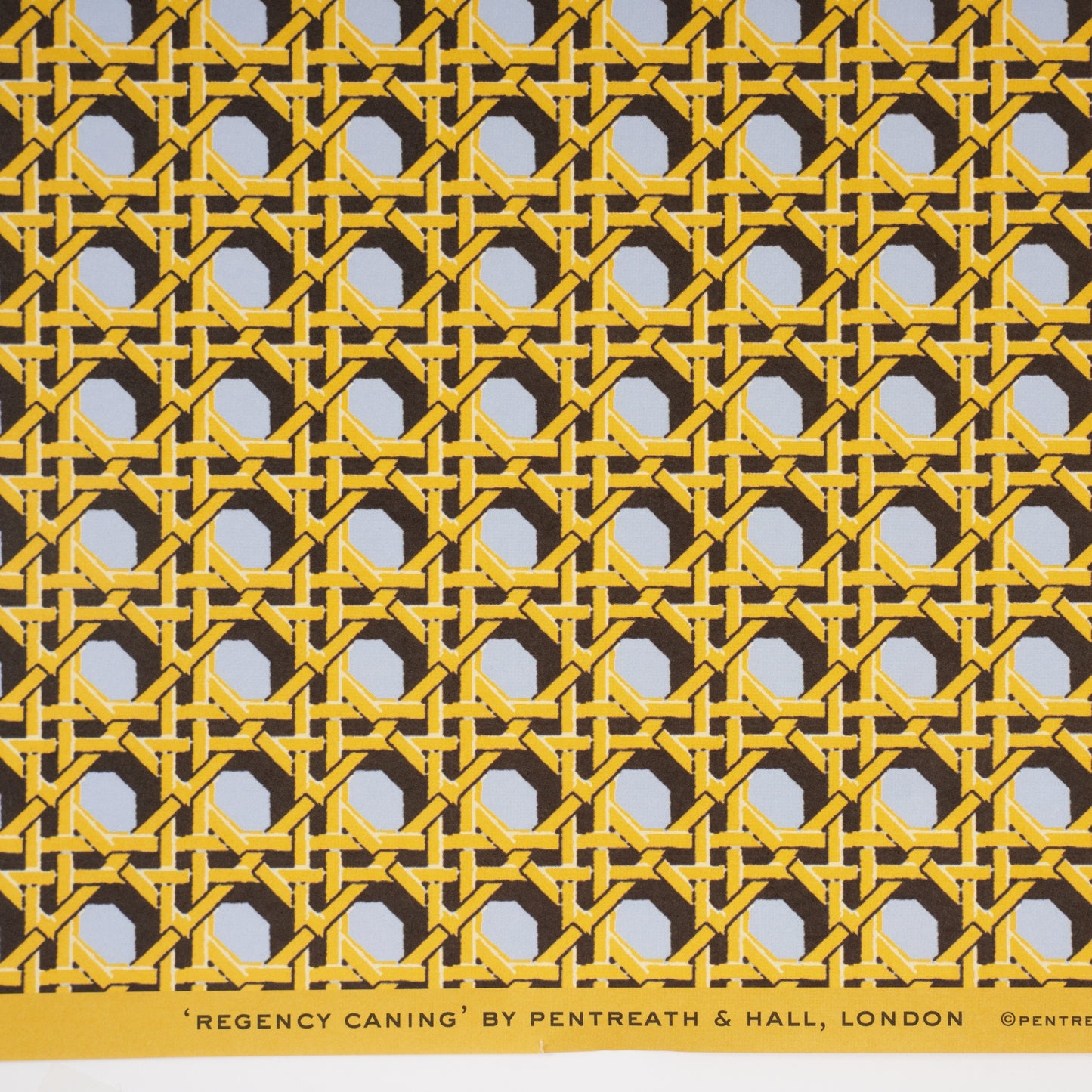 Regency Caning - 5 Sheets Of Wedgwood Blue Paper