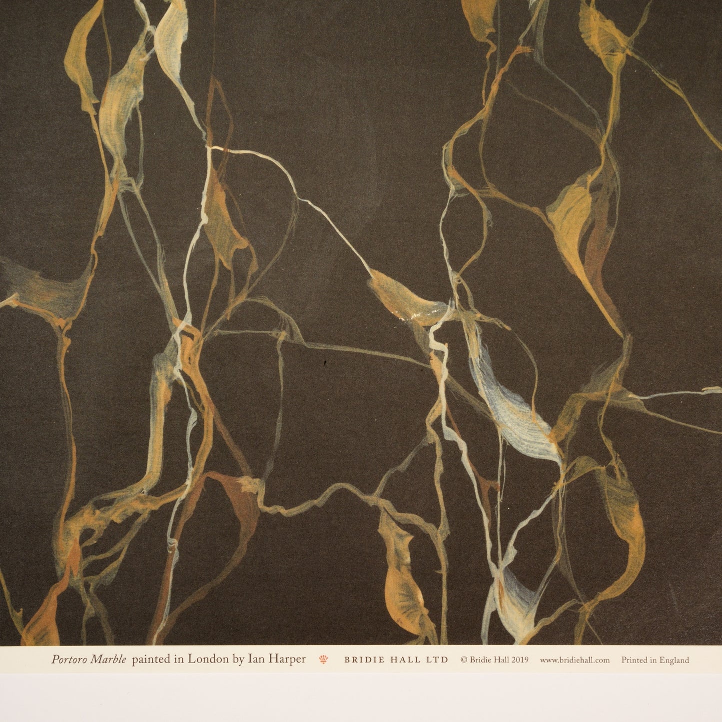 Potoro Marble Patterned Paper