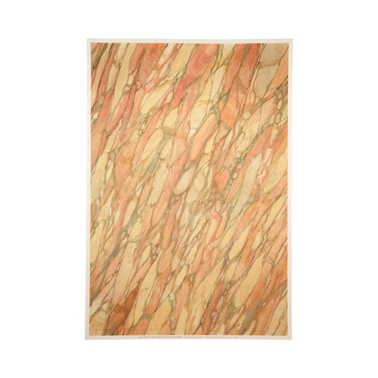 Norwegian Rose  Patterned Paper