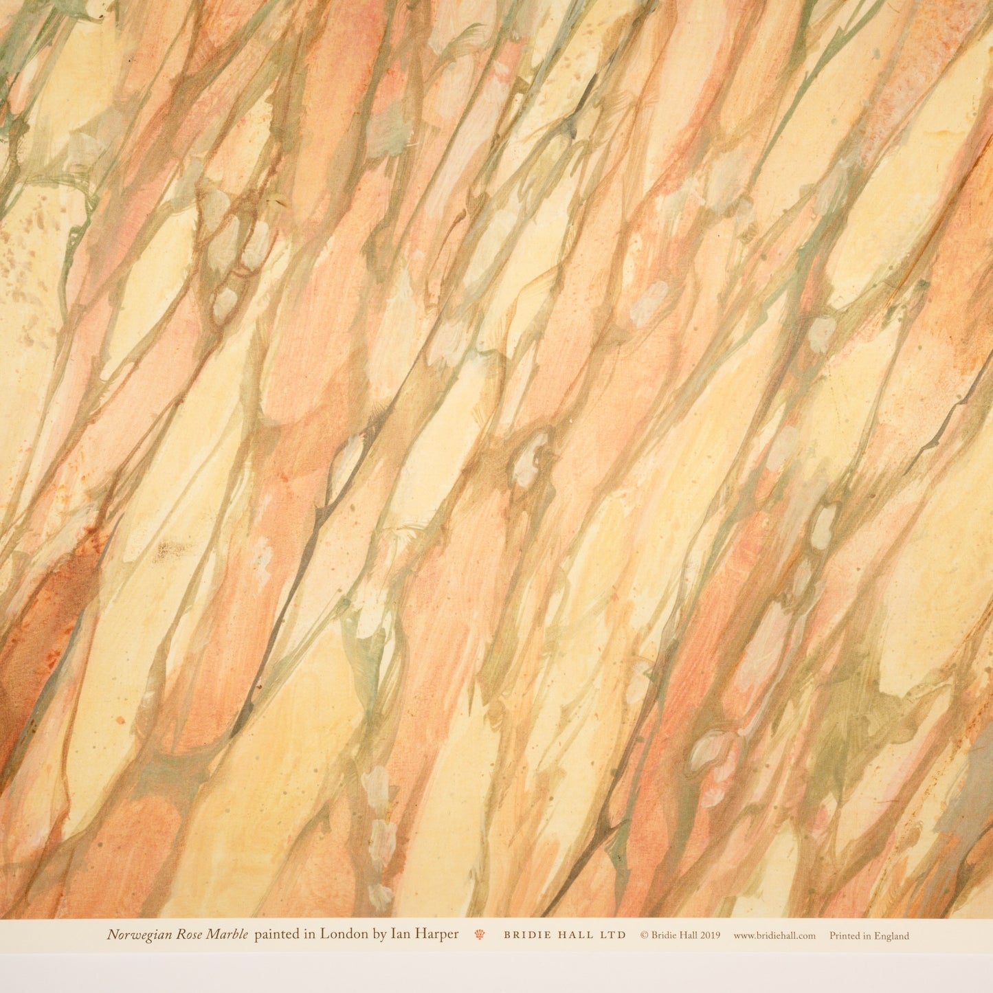 Norwegian Rose  Patterned Paper