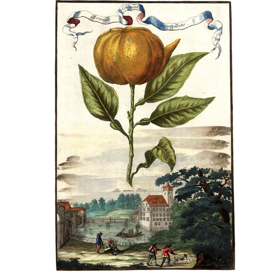 Aranzo Cornuto Incanellato Giclée Print