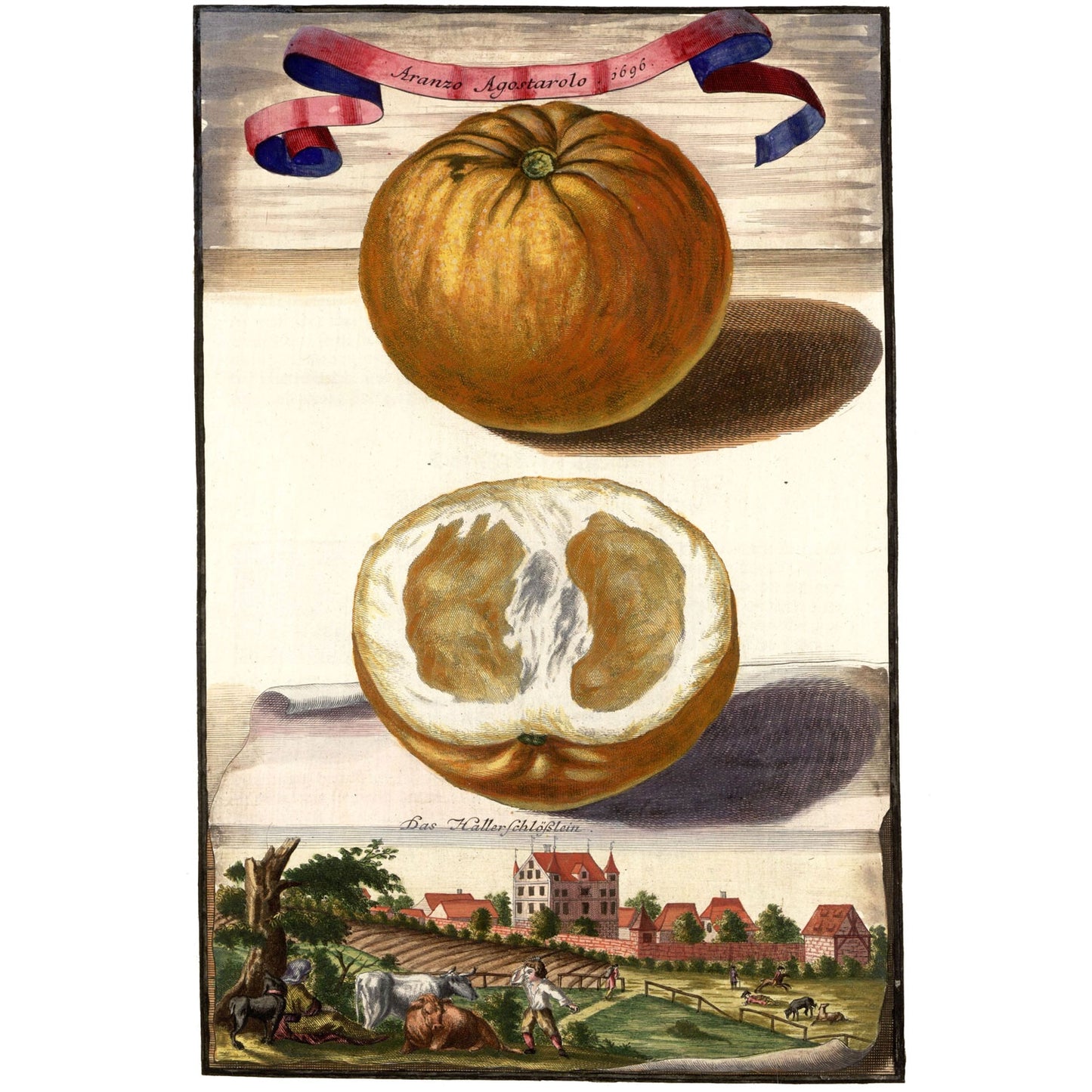 Aranzo Agostarolo 1696 Giclée Print