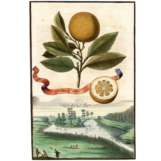 Aranzo Dolce Giclée Print