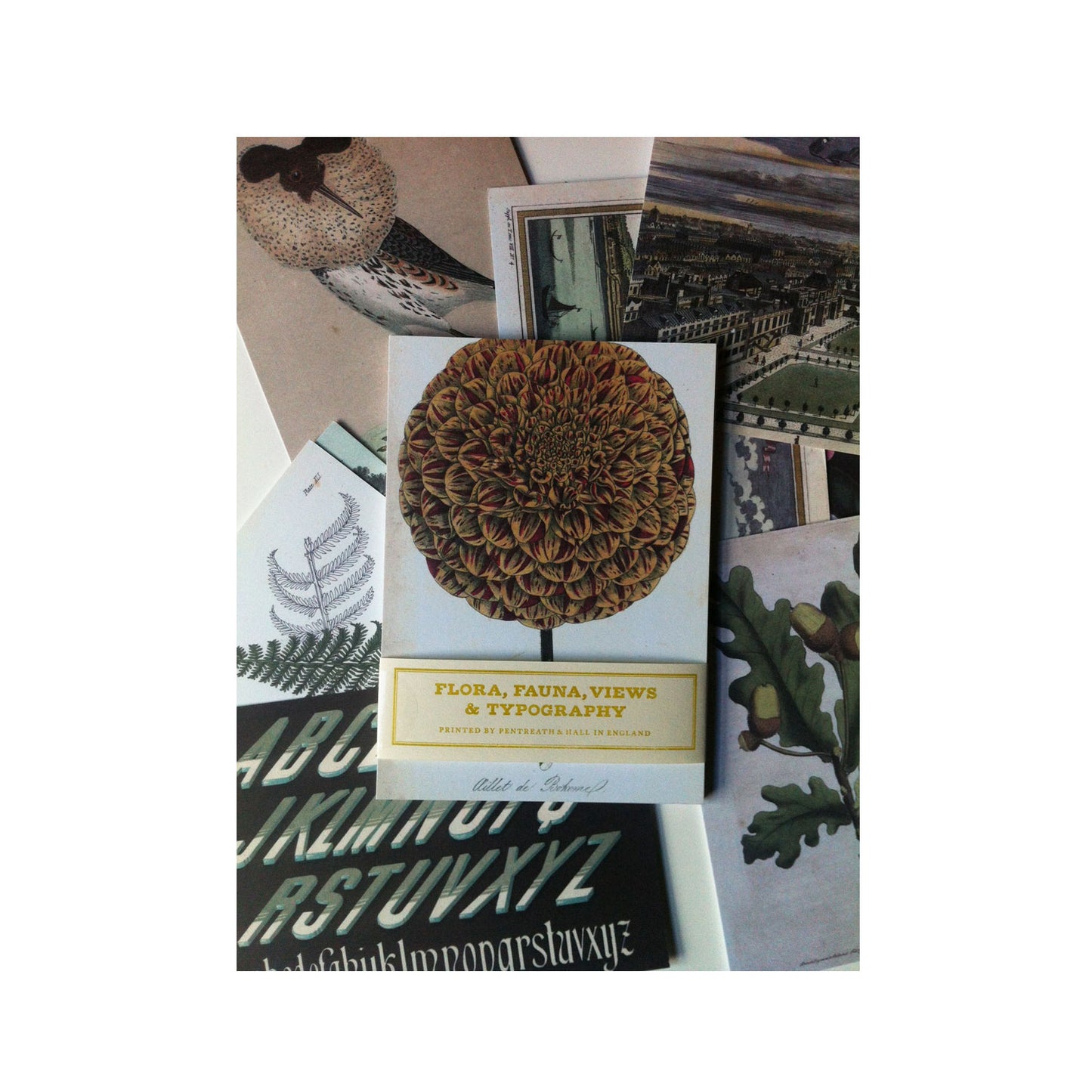 Flora, fauna, views & typography - pack of 10 assorted postcards